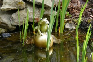 froschteich